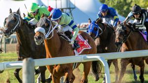 Pennsylvania Derby, Parx Racing, horse racing, America's Best Racing, ABR